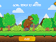 bear