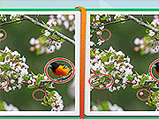 发现差异：季节