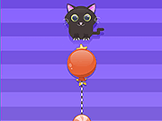 切成猫2