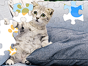 拼图拼图猫\ U0026小猫