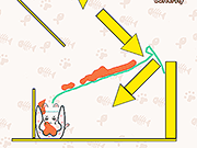 快乐的猫难题