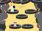 抓住猫