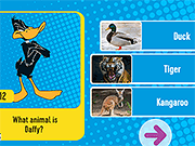 Looney Tunes：猜猜动物