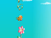 襟翼蜜蜂
