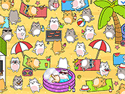 发现猫