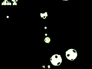 cosmocidio