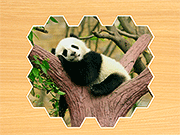 拼图拼图hexa