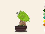 盆景树建筑商