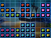 1010鱼块