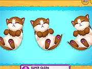 可爱的小猫怀孕
