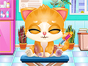 Doc Honeyberry：小猫手术