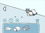 找到猫