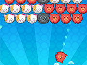 流行小猫