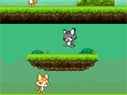 猫与狗