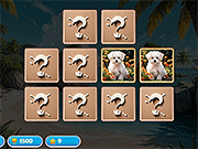 Doggie Duo发现