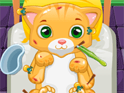小猫医生