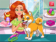 Jessies shiba狗