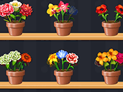 好花大师
