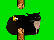 flappy鸟旋转OIA OIA CAT