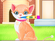 照顾小猫公主