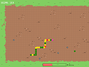 ngsnake