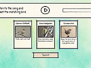 Birdlingo